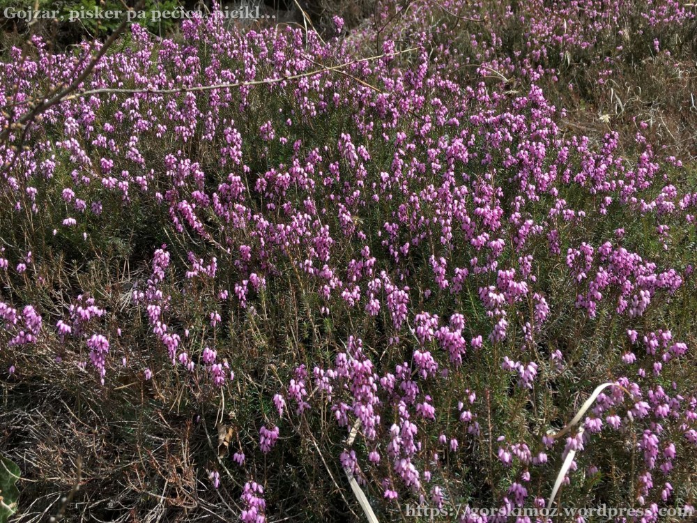 20170318_110246187_iOS-2048-oznaka