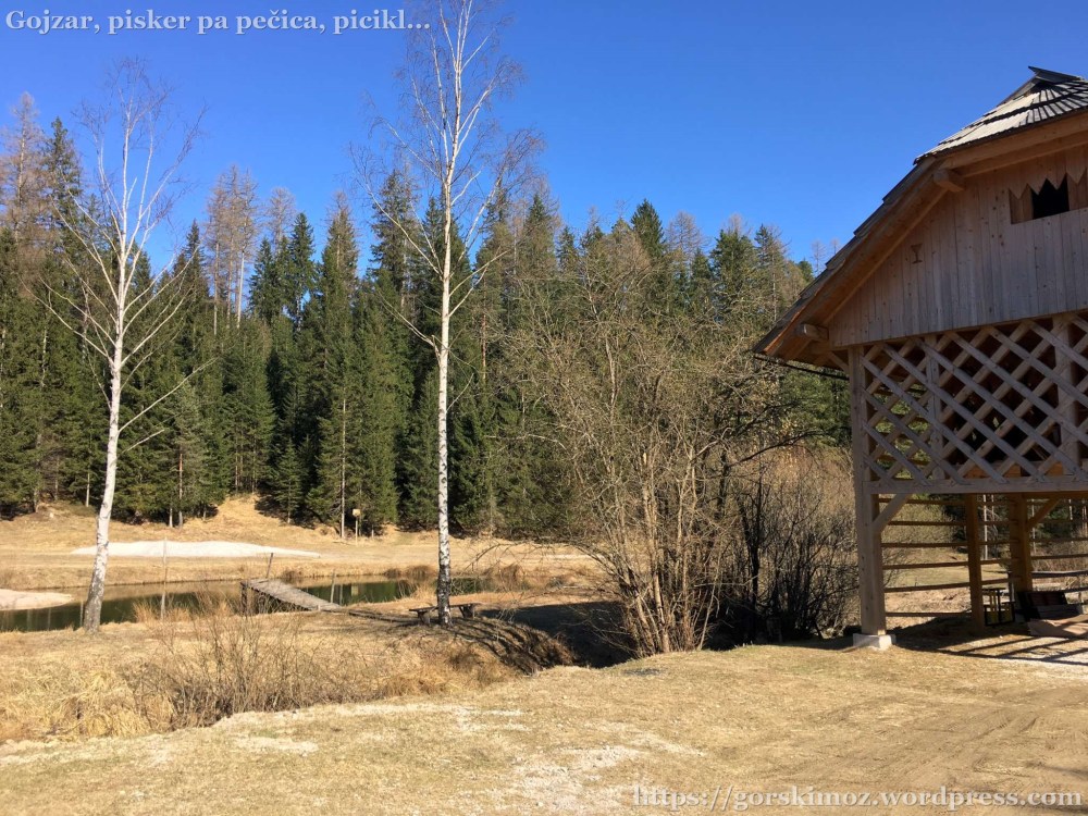 20170328_140935136_iOS-2048