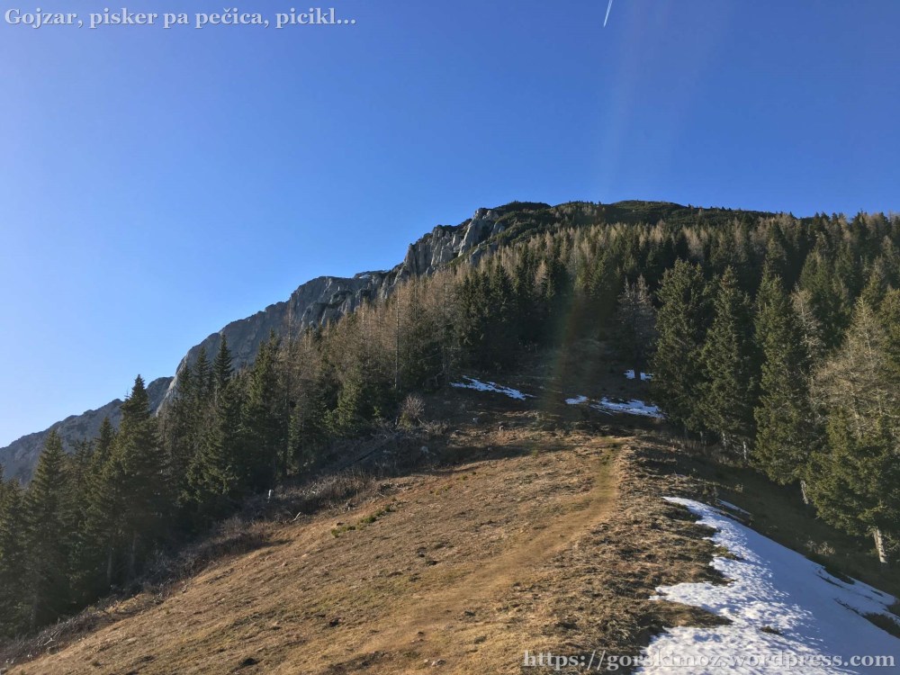 20170328_152031023_iOS-2048