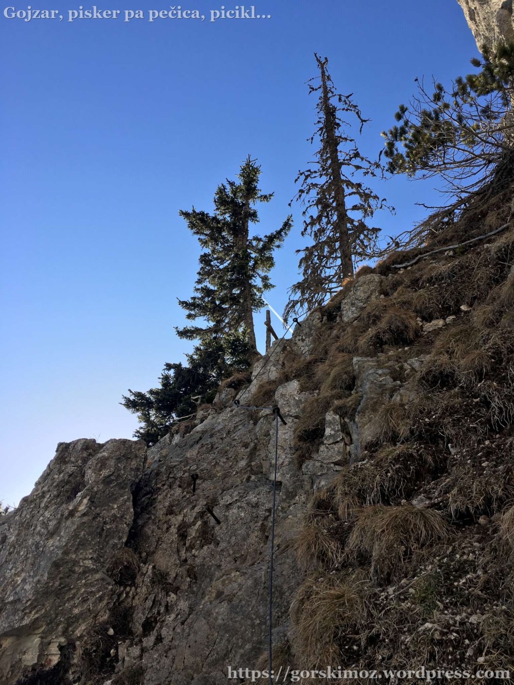 20170328_154011467_iOS-2048