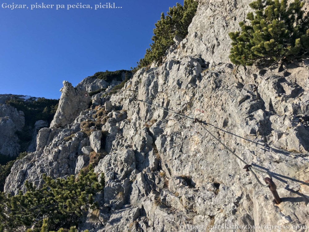 20170328_154318642_iOS-2048