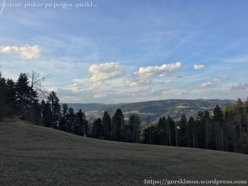 IMG_7582-2048-oznaka