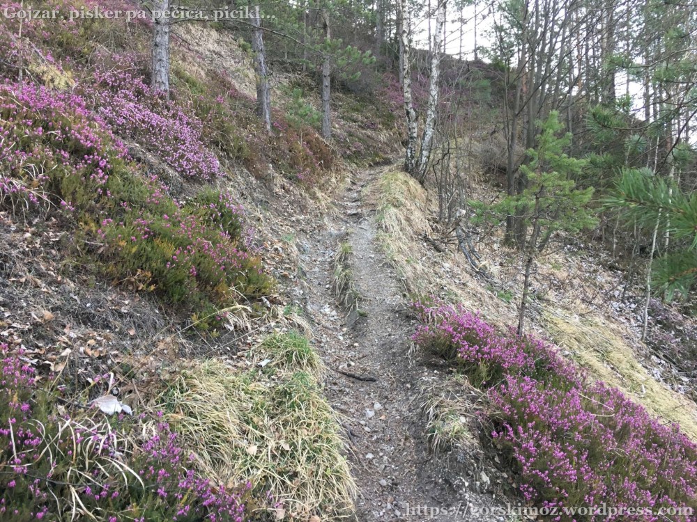 20170401_060026093_iOS-2048