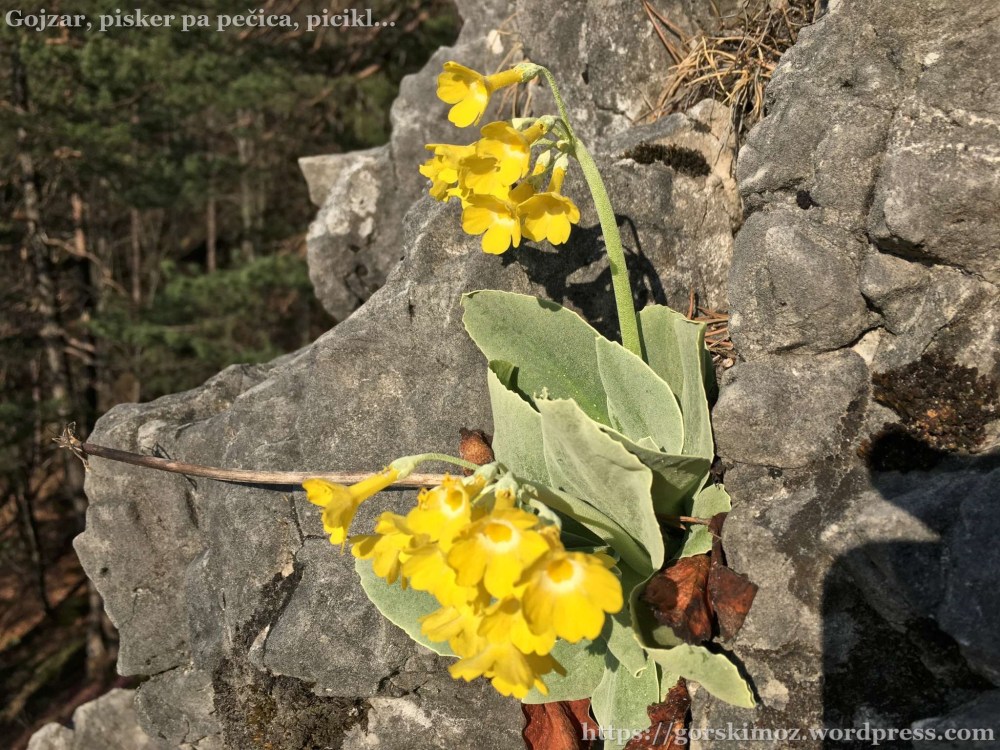 20170401_063217780_iOS-2048