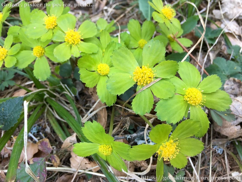 20170401_071958994_iOS-2048