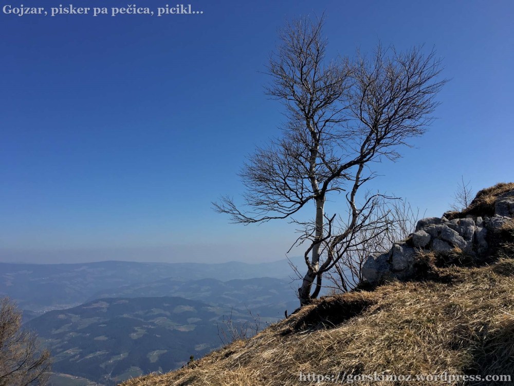 20170401_083101454_iOS-2048