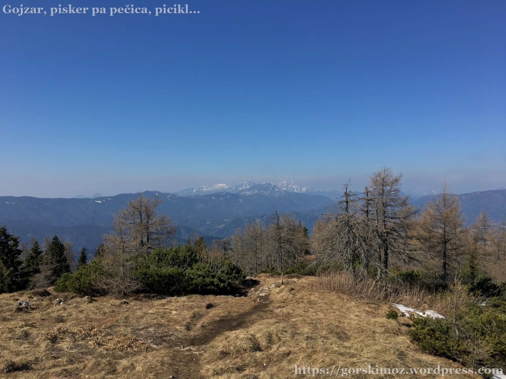 20170401_083106291_iOS-2048