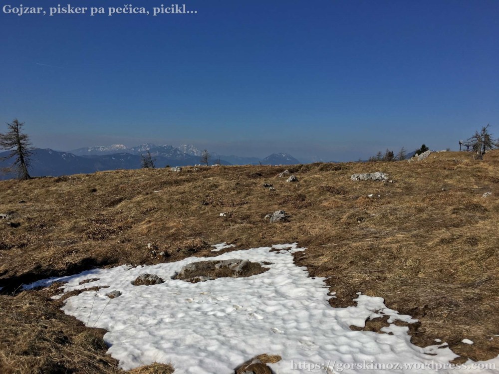 20170401_083325553_iOS-2048