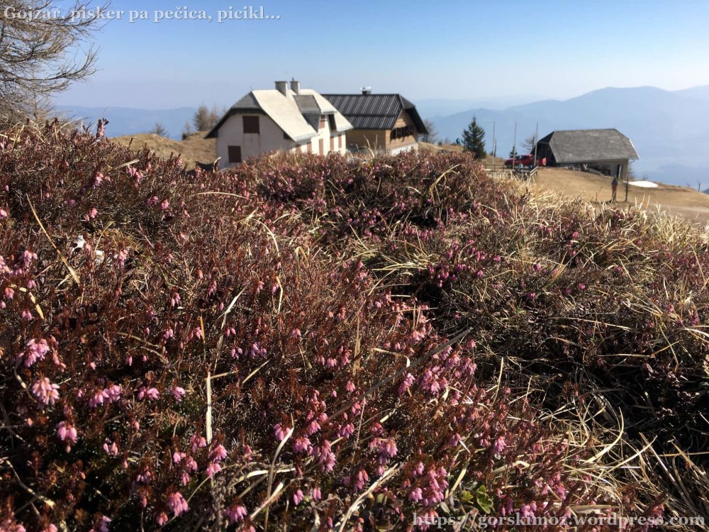 20170401_083500495_iOS-2048