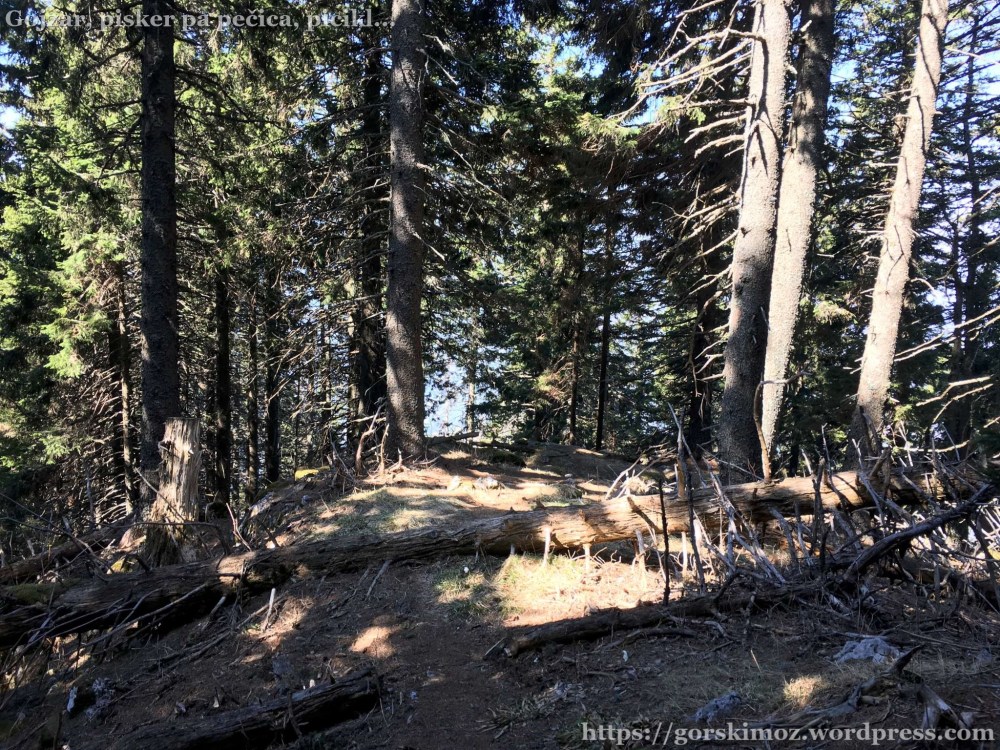 20170401_091522550_iOS-2048