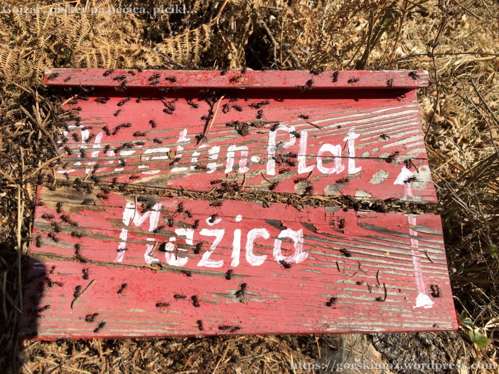 20170401_094534412_iOS-2048