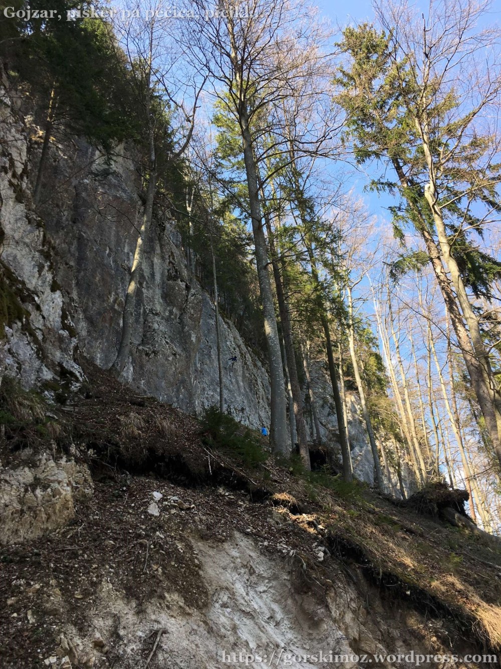 20170401_103652564_iOS-2048