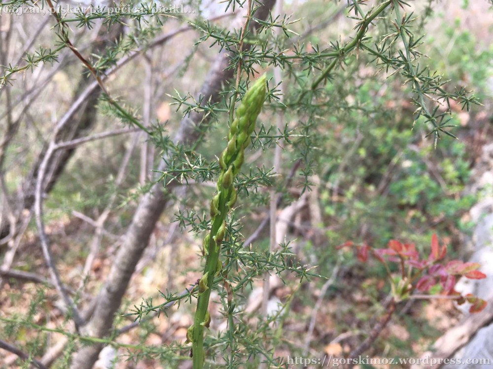 20170402_090247271_iOS-2048