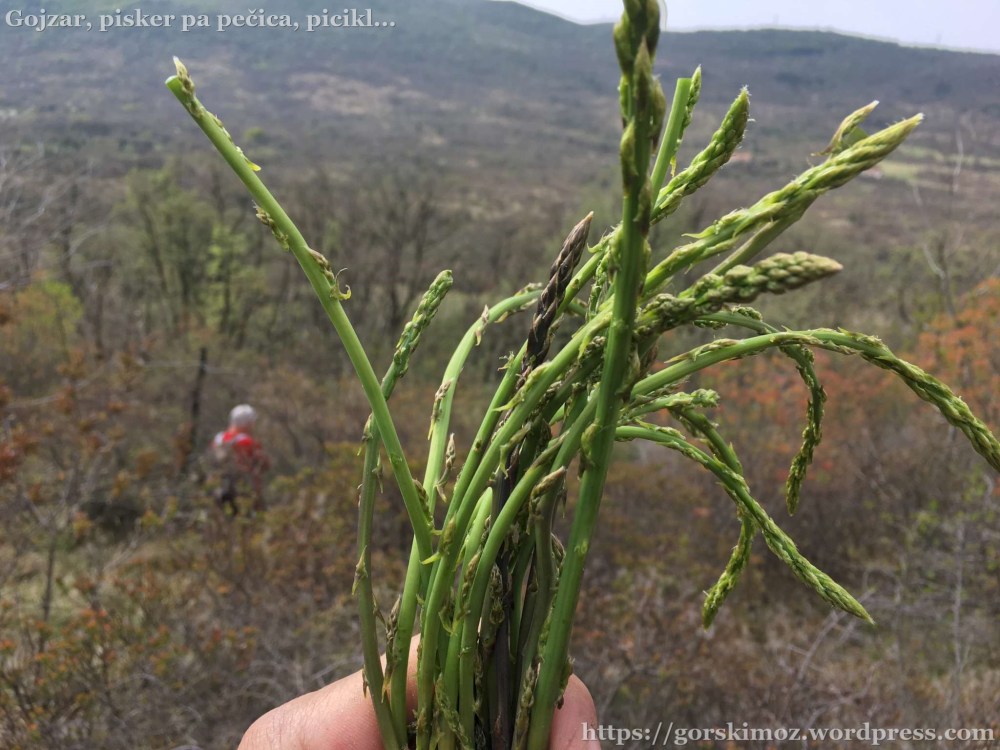 20170402_090930221_iOS-2048