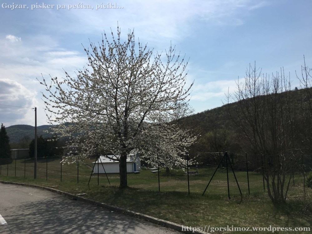 20170402_100347854_iOS-2048