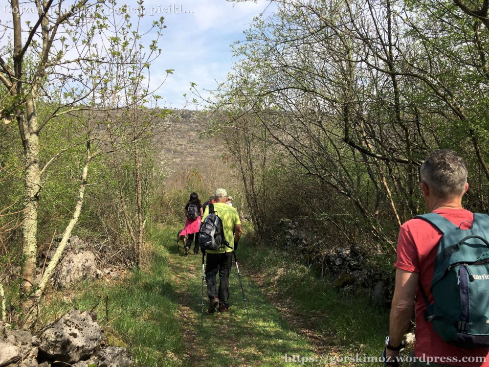 20170402_101636422_iOS-2048