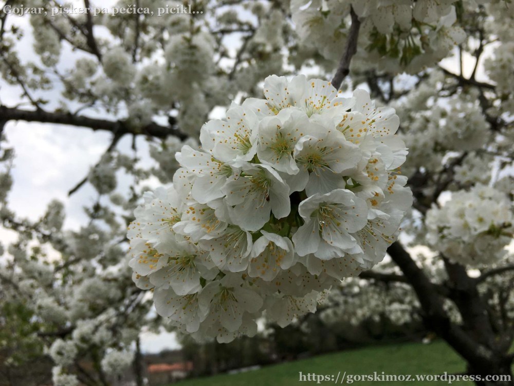 20170402_112107968_iOS-2048