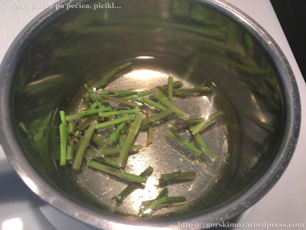 20170403_151720782_iOS-2048