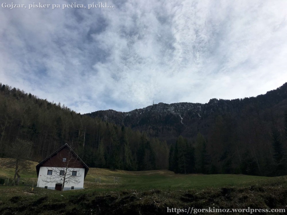 20170406_150348011_iOS-2048