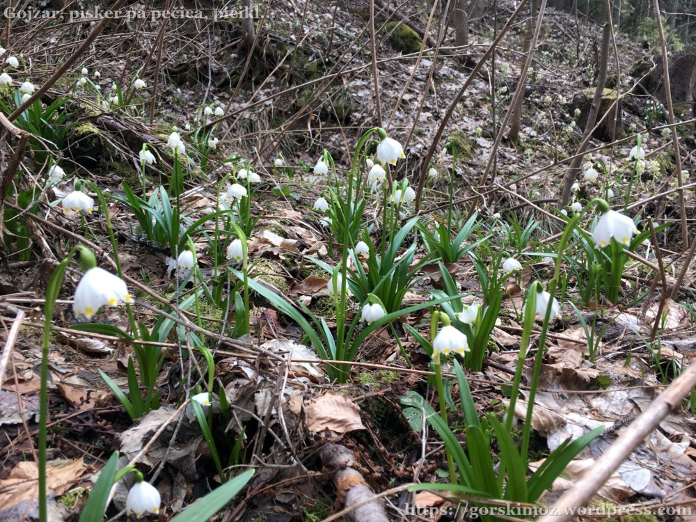 20170406_152106218_iOS-2048