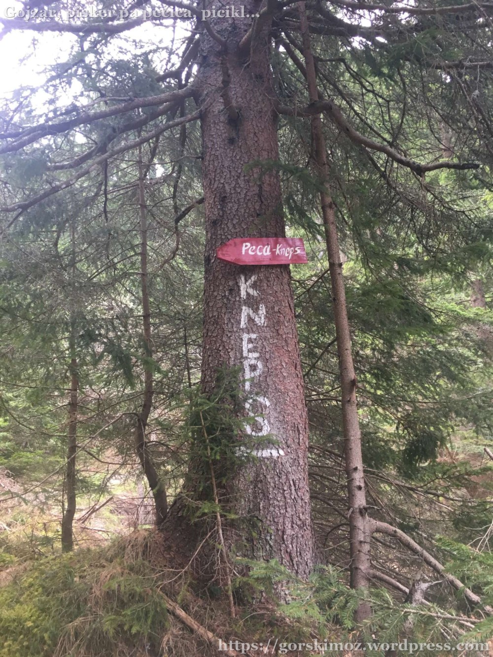 20170409_055857986_iOS-2048