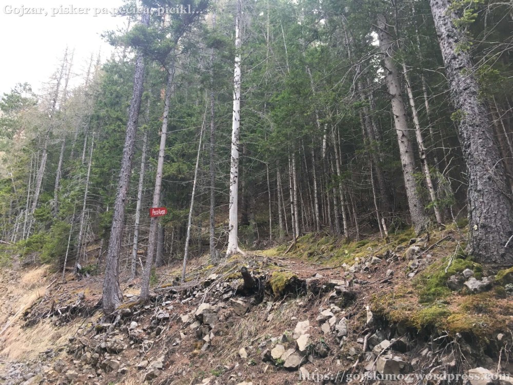 20170409_060735786_iOS-2048