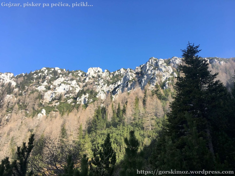 20170409_064242889_iOS-2048