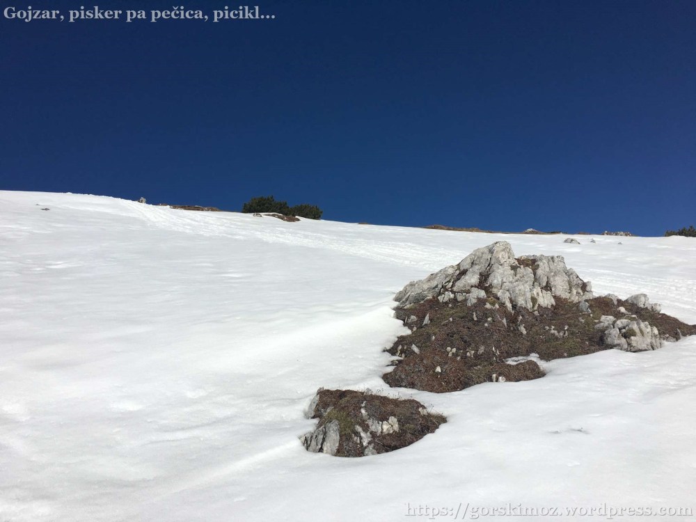 20170409_074924473_iOS-2048