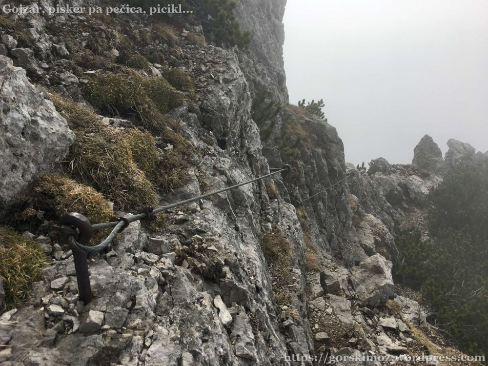 20170409_080723097_iOS-2048