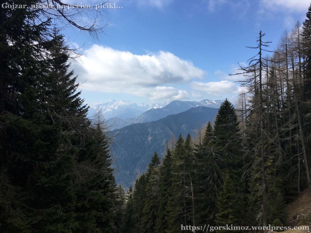 20170409_091231392_iOS-2048