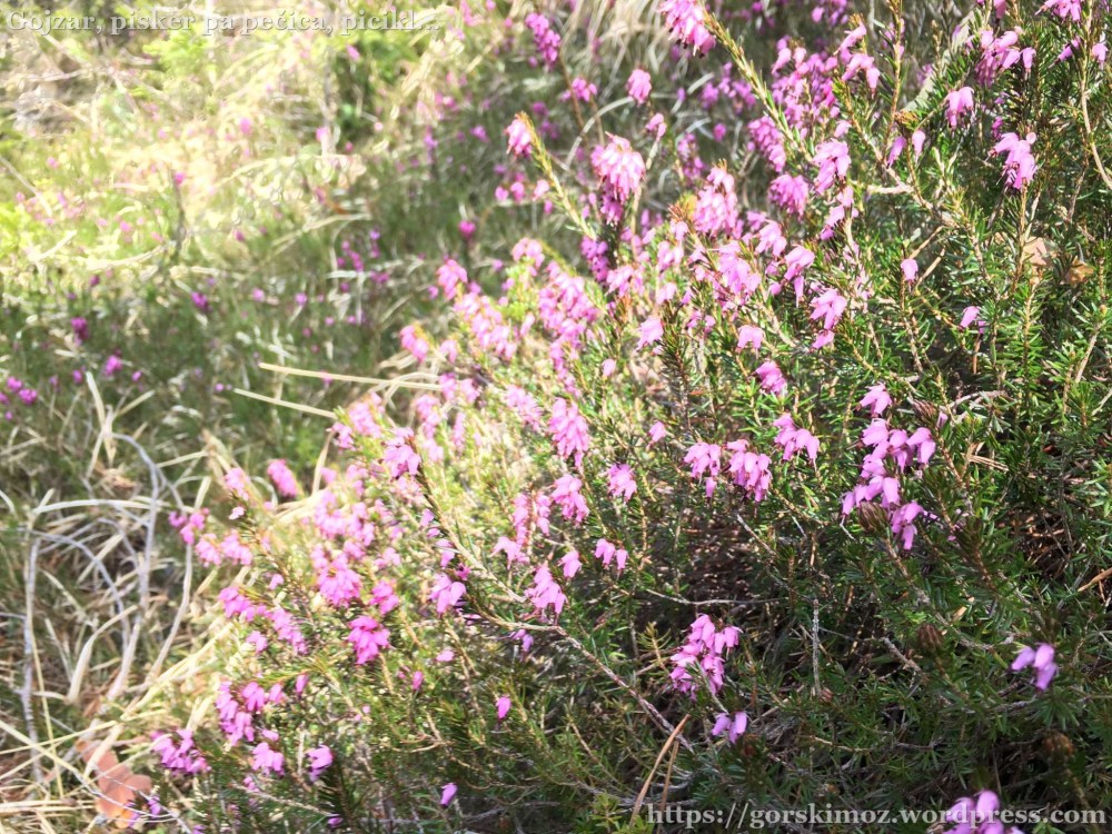 20170409_093115228_iOS-2048