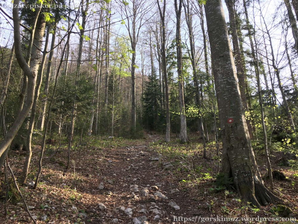 20170412_155953641_iOS-2048