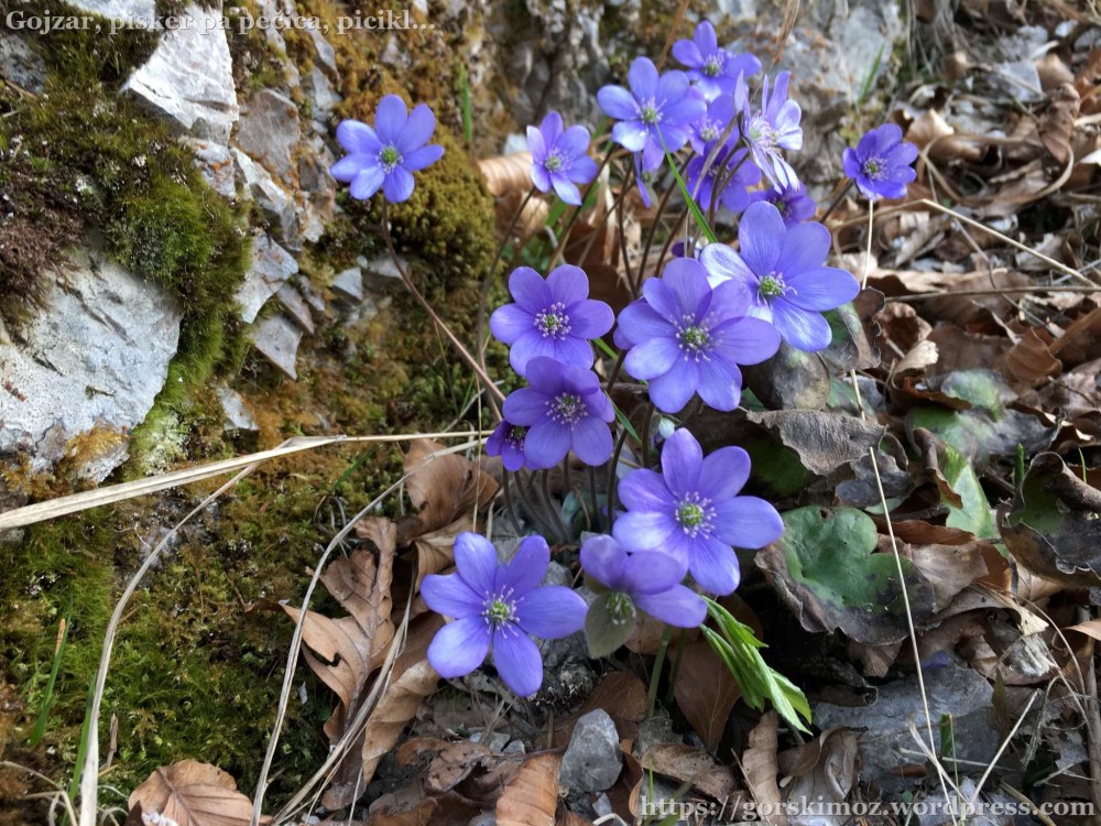 20170412_160816364_iOS-2048