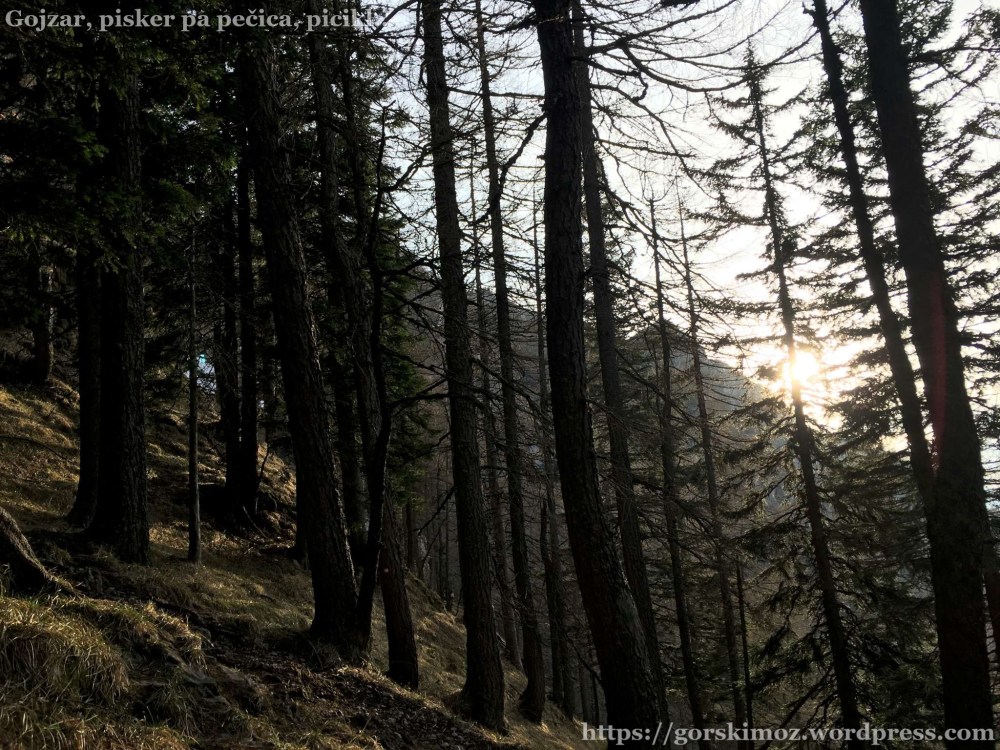 20170412_164744531_iOS-2048