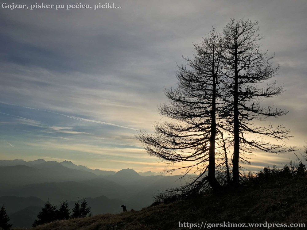 20170412_170444890_iOS-2048