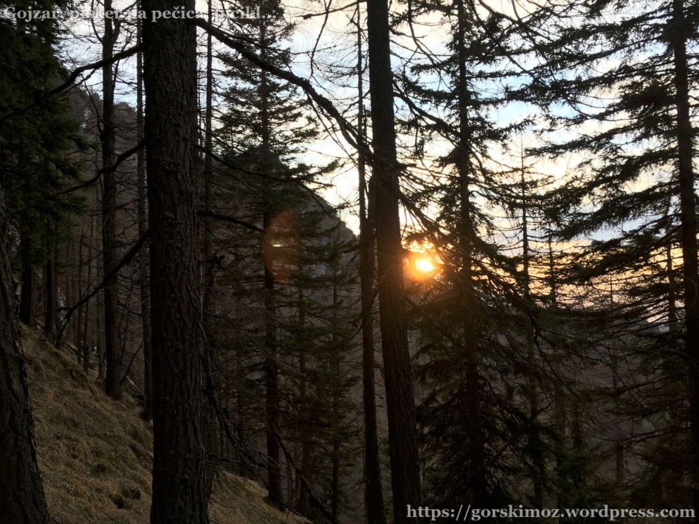 20170412_172940270_iOS-2048