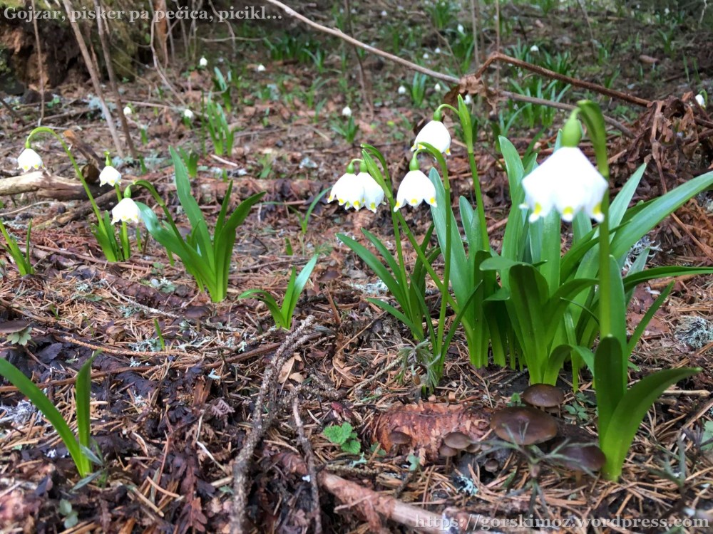 20170415_153605299_iOS-2048