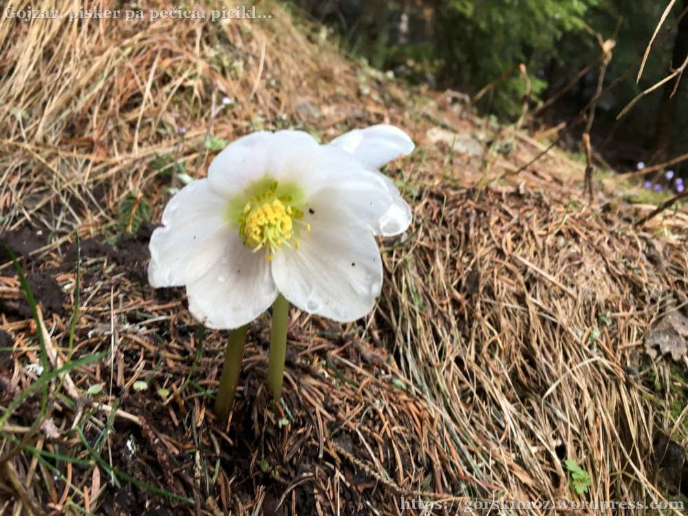 20170415_155212487_iOS-2048