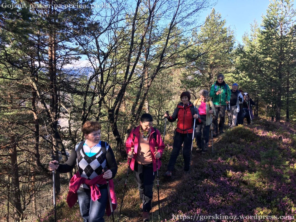 20170417_065341610_iOS-2048