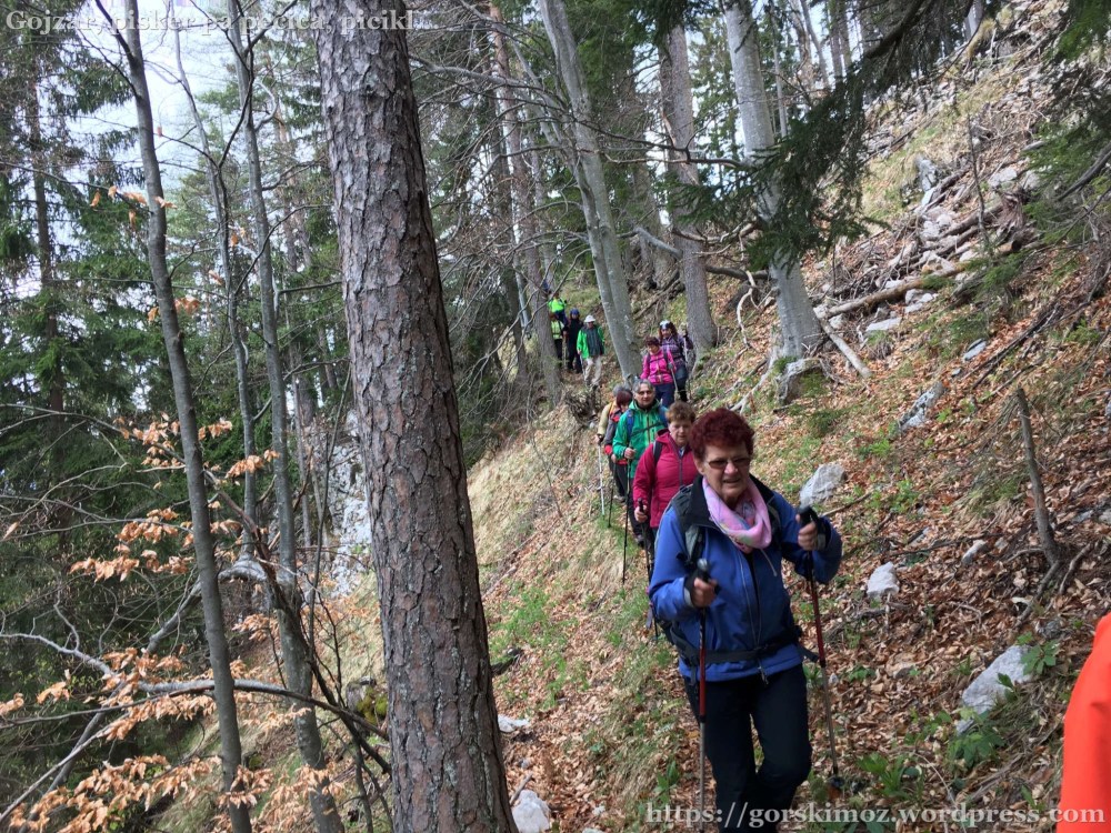 20170417_101727062_iOS-2048