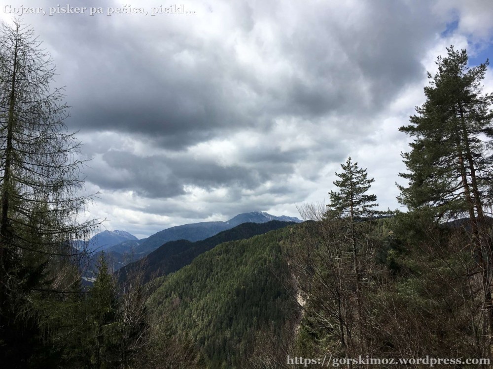 20170417_102841061_iOS-2048