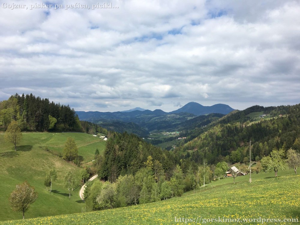 20170429_082909263_iOS-2048