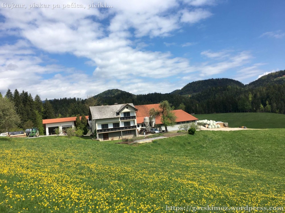 20170429_090949946_iOS-2048