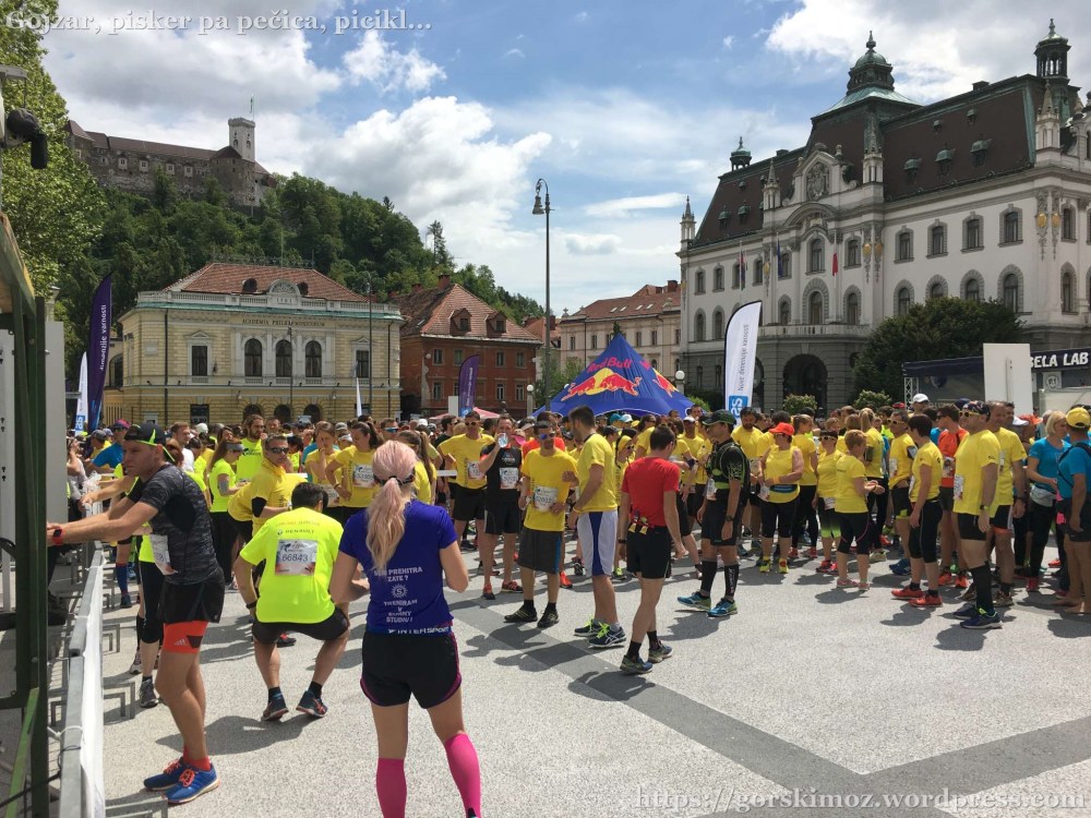 20170507_102920776_iOS-2048