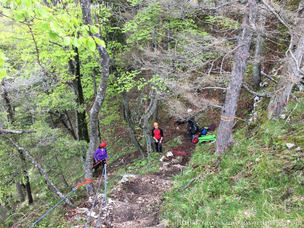 20170512_130357595_iOS-2048