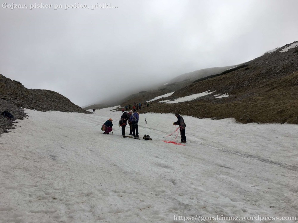 20170513_081335410_iOS-2048