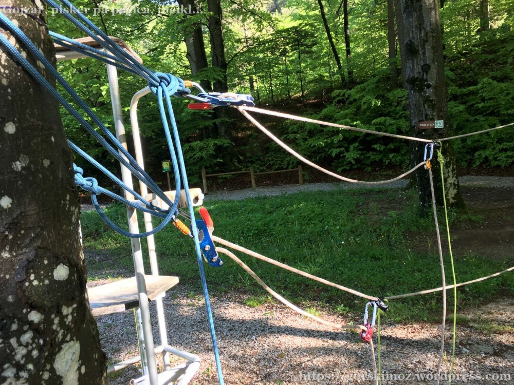 20170514_063229486_iOS-2048