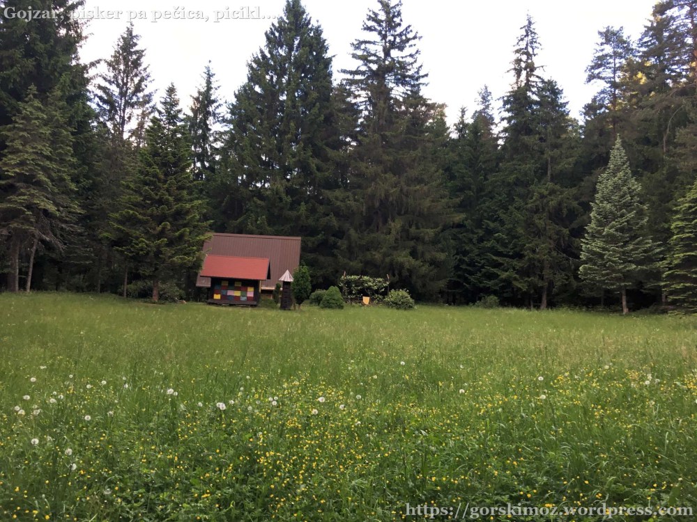 20170525_172812536_iOS-2048