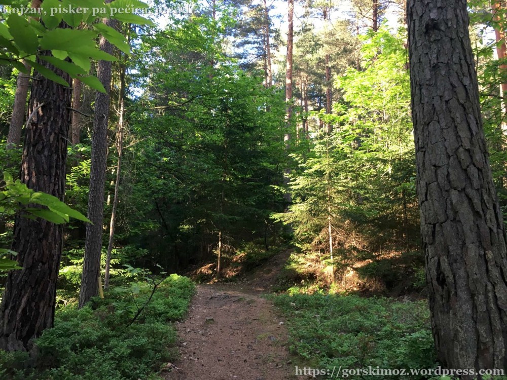 20170525_173002549_iOS-2048