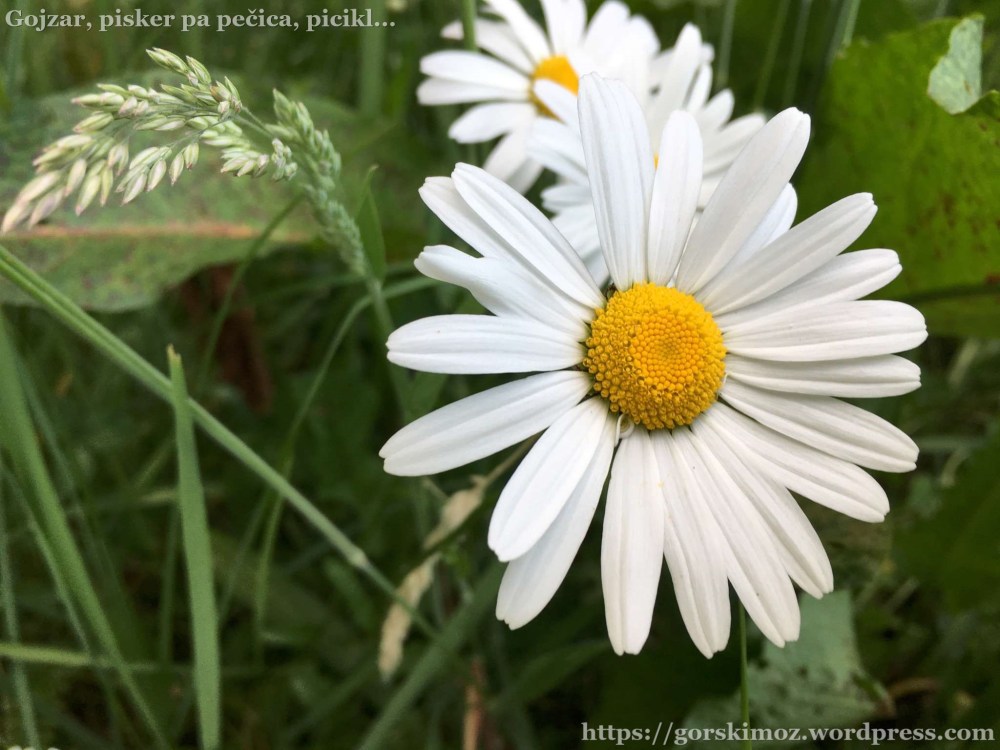 20170525_173728020_iOS-2048